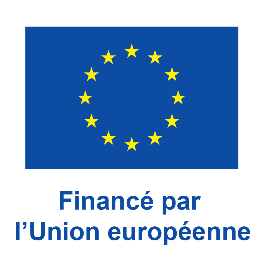 FR V Financ&eacute; par l'Union europ&eacute;enne_POS.jpg (161 KB)